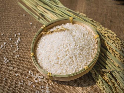 传统抛光大米和鲜稻谷米有什么区别？