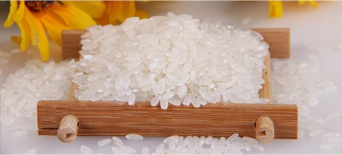 什么是长粒香米？长粒香米与稻花香米的区别
