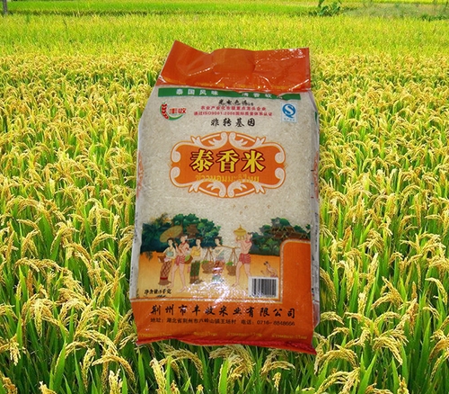 稻米的种植技术步骤